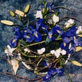 Gaivumas-Irisai-Lelijos-samanos-karkasas