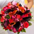 kalijos-rozes-celosia-freesia