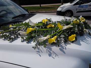 Automobilio puošimas-14